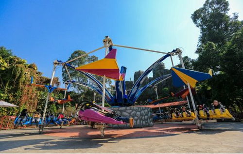 2018 CAE北京展 龙之盈游乐邀您参观，共赏精彩游玩设备