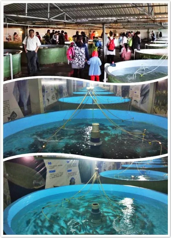 日照顺风阳光海洋牧场最新游玩攻略 尽享夏日海洋乐趣